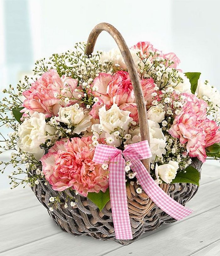 CORAL COMFORT