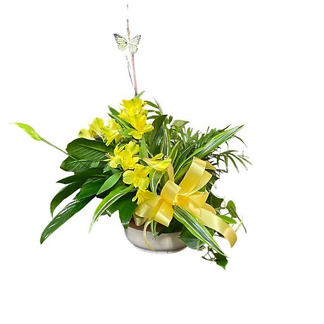 Potho Plant with fresh cut Alstromeria