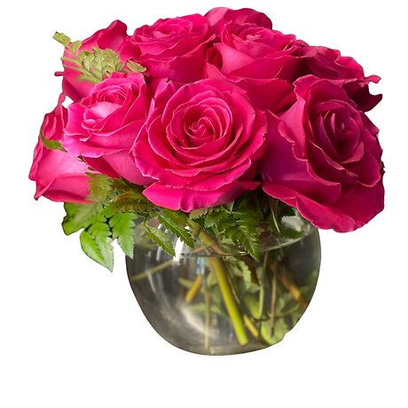 One Dozen Short Stem Pink Roses