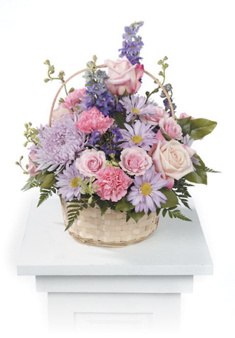 Pastel Passion