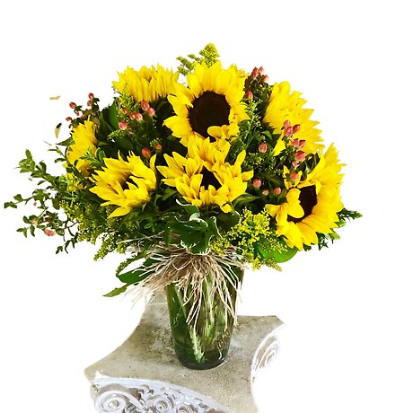 Delightful Sunflowers